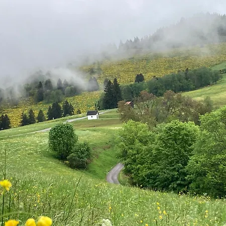 Lejlighed A La Ferme Vosgienne Avec Terrasse, Cheminee Et Wifi - Fr-1-589-759 *