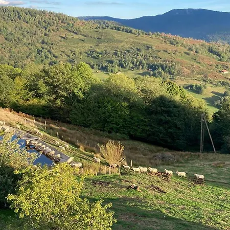 A La Ferme Vosgienne Avec Terrasse, Cheminee Et Wifi - Fr-1-589-759 Fresse-sur-Moselle