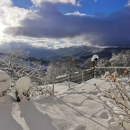 A La Ferme Vosgienne Avec Terrasse, Cheminee Et Wifi - Fr-1-589-759 Lejlighed
