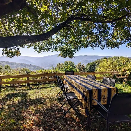 A La Ferme Vosgienne Avec Terrasse, Cheminee Et Wifi - Fr-1-589-759 Lejlighed *