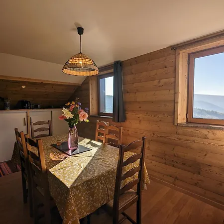 Lejlighed A La Ferme Vosgienne Avec Terrasse, Cheminee Et Wifi - Fr-1-589-759 *