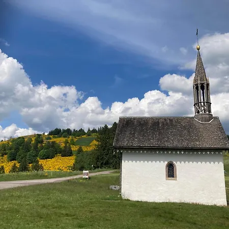 Lejlighed A La Ferme Vosgienne Avec Terrasse, Cheminee Et Wifi - Fr-1-589-759
