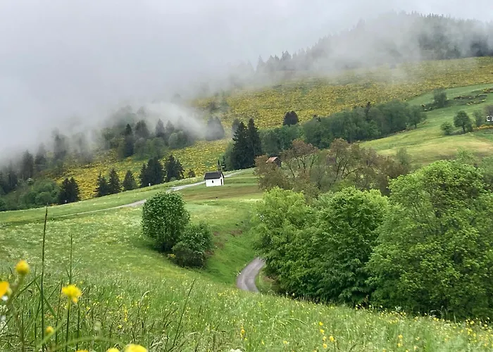 아파트 A La Ferme Vosgienne Avec Terrasse, Cheminee Et Wifi - Fr-1-589-759 *