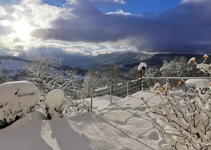 A La Ferme Vosgienne Avec Terrasse, Cheminee Et Wifi - Fr-1-589-759 아파트